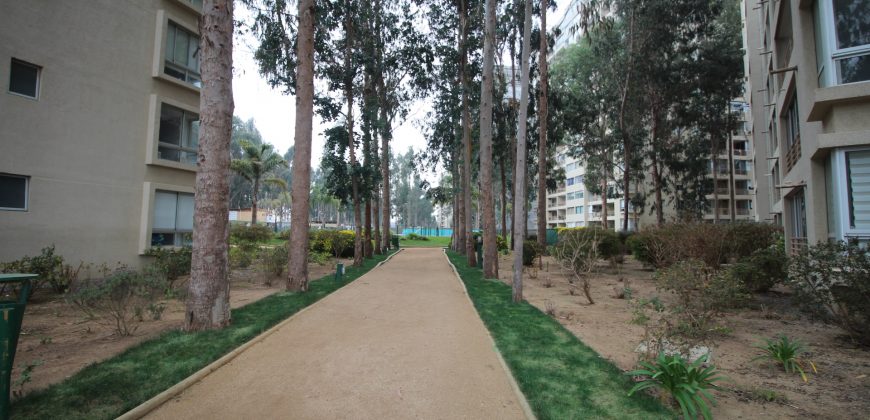 Algarrobo, departamento 3 dormitorios