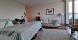 Penthouse en San Carlos de Apoquindo